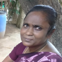 Rajani J.